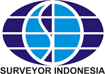 Surveyor